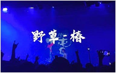野草吉他谱_椿_C调指法原版弹唱谱