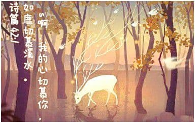 如鹿切慕溪水吉他谱_詹文仁_C调指法弹唱谱图片