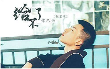 给不了你未来吉他谱_张家旺_C调原版