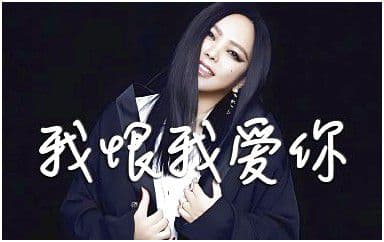 我恨我爱你吉他谱_张惠妹_G调指法弹唱谱图片