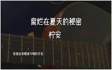 腐烂在夏天的秘密吉他谱_柠安_C调指法弹唱谱图片
