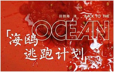 海鸥吉他谱_逃跑计划_G调指法原版弹唱谱