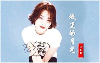城里的月光吉他谱_许美静_G调指法弹唱谱
