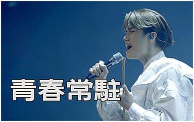青春常驻吉他谱_张敬轩_D调指法原版弹唱谱
