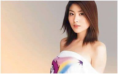 阁楼吉他谱_陈慧琳_C调指法原版弹唱谱