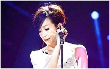 爱上一个不回家的人吉他谱_林忆莲_C调原版