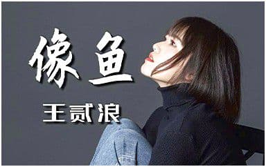 像鱼吉他谱_王贰浪_G调原版弹唱谱
