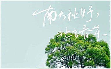 南方秋野北方春茶吉他谱_张远_C调原版弹唱谱