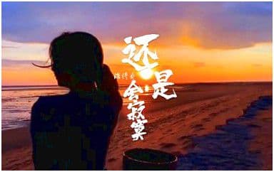 还是会寂寞吉他谱_陈绮贞_C调指法弹唱谱