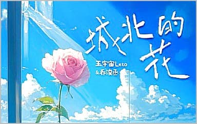城北的花吉他谱_王宇宙Leto-乔浚丞_C调指法弹唱谱图片