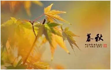暮秋吉他谱指弹版_黄家伟_原版指弹谱