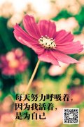 每天一句话晚安心语：梦自己想梦的