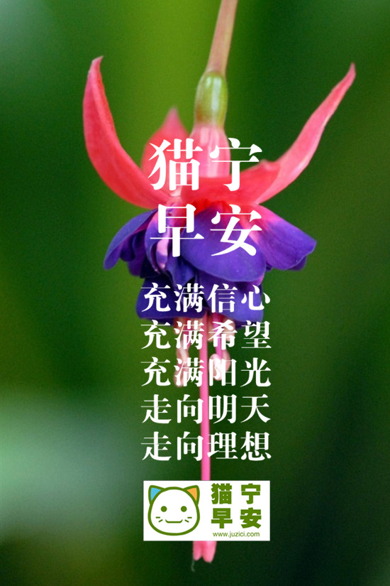 最新分享早安语录正能量早安说说:迎接新的挑