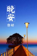 感性的晚安说说心情：享受温柔的月光